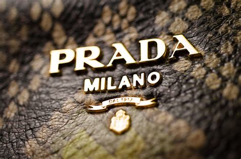 prada is from which country|Prada brand origin.